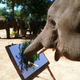 Illustration for article titled Elephants, monkeys, and the Holy Spirit cant claim copyright in the US